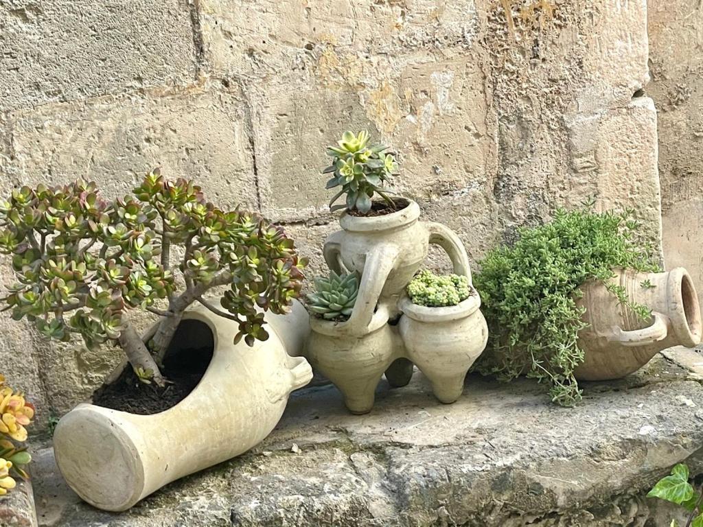 Lemon Suite Ortigia Syracuse Luaran gambar